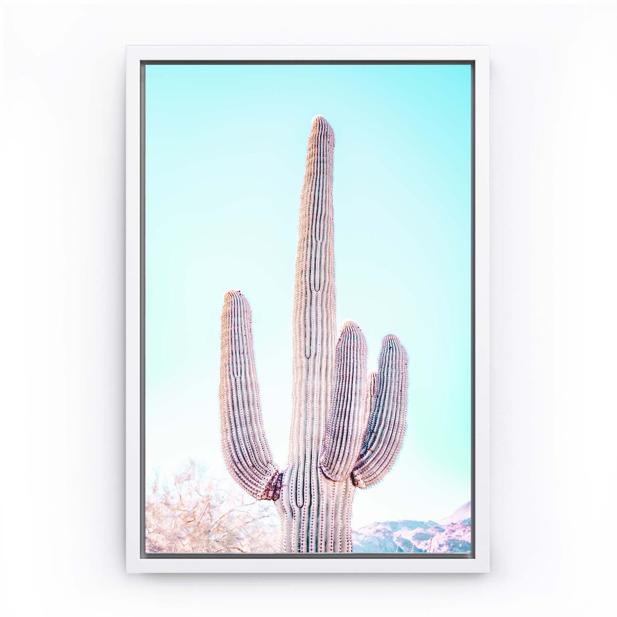 Cactus Cooler - Canvas Print by Richard Podgurski Jr. | Art Bloom Canvas Art