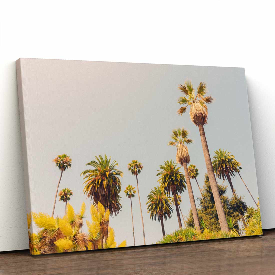 California Palm - Canvas Print by Dan Hobday | Art Bloom Canvas Art