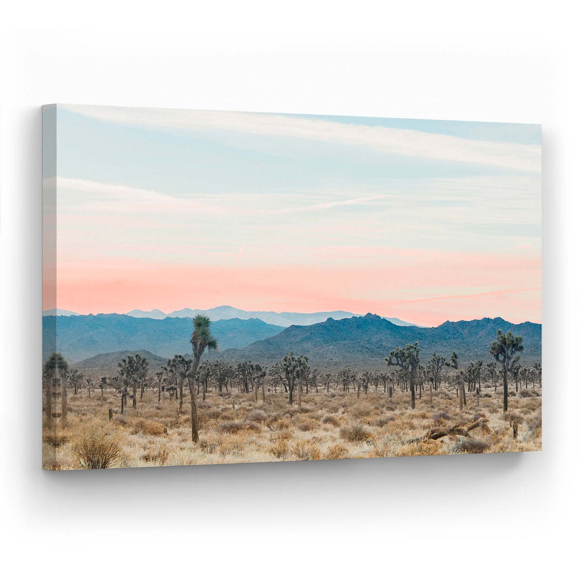 Desert Sunset - Canvas Print by Nate Taylor | Art Bloom Canvas Art