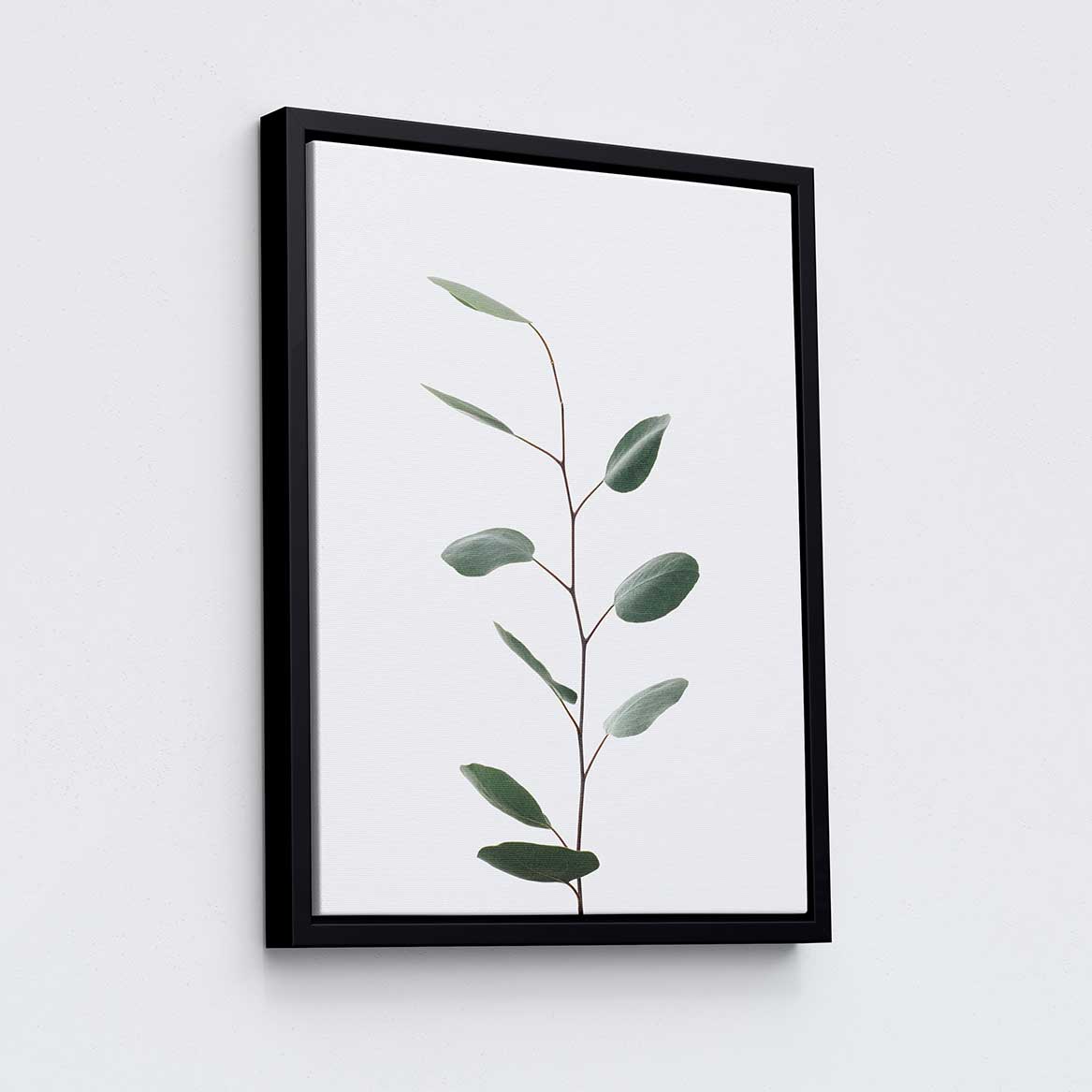 Eucalyptus #1 - Canvas Print by Dan Hobday | Art Bloom Canvas Art