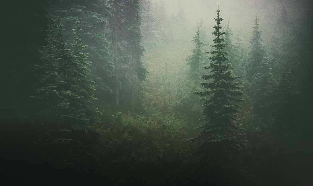 Pacific Northwest Art