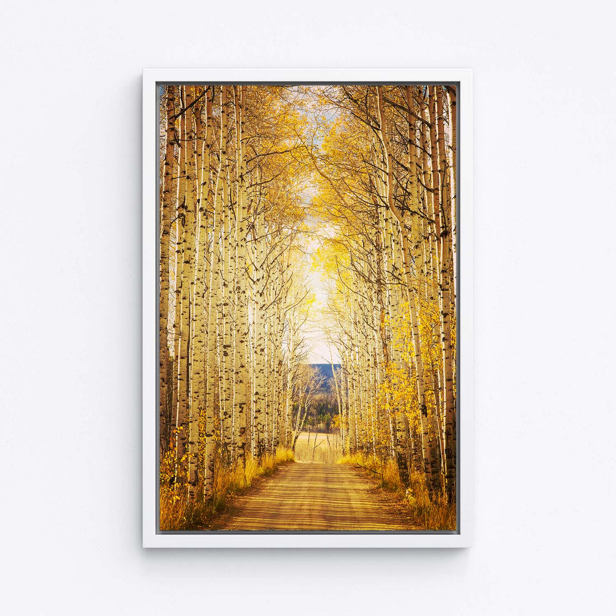 Aspen Alley - Aspen Tree Wall Art by Kyle Spradley | Art Bloom Canvas ...