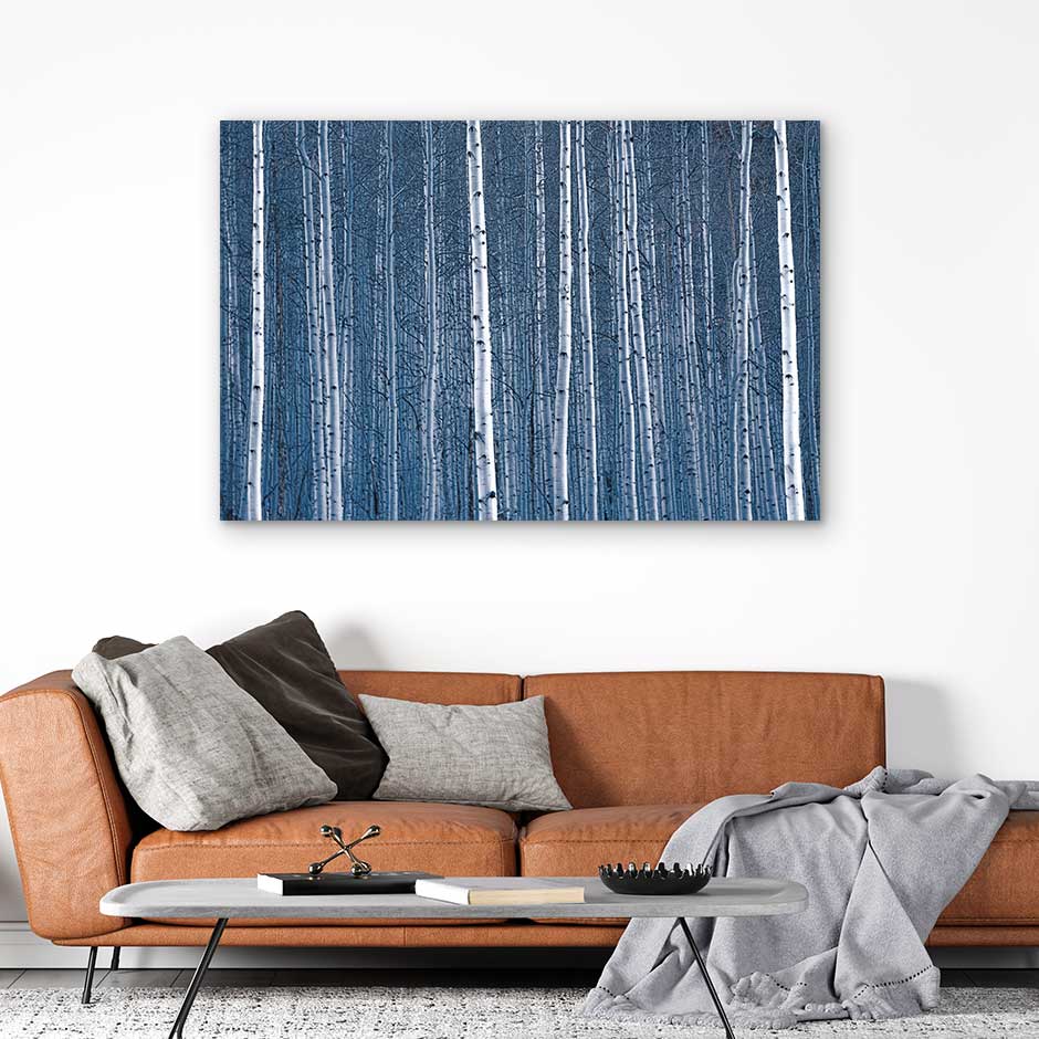 Aspen Blues - Canvas Print by Emily Kent | Art Bloom Canvas Art