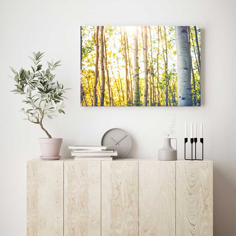 Aspens Summer