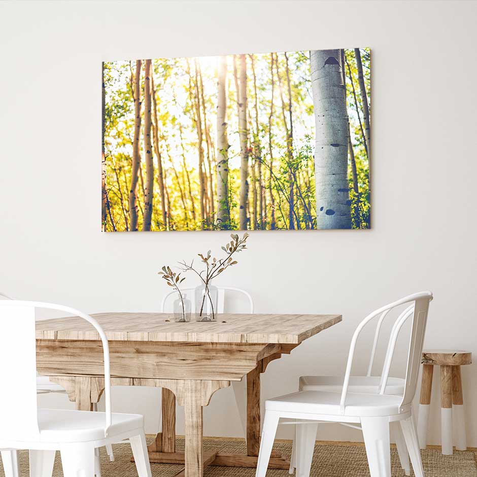 Aspens in Summer - Canvas Print by Emily Kent | Art Bloom Canvas Art