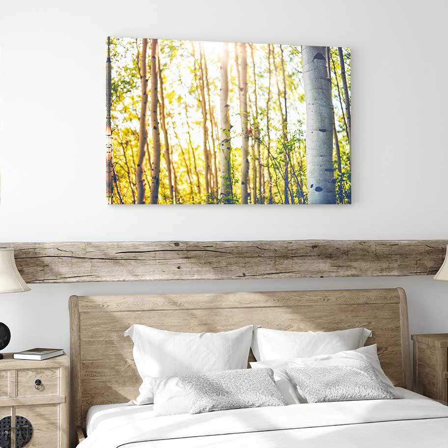 Aspens in Summer - Canvas Print by Emily Kent | Art Bloom Canvas Art