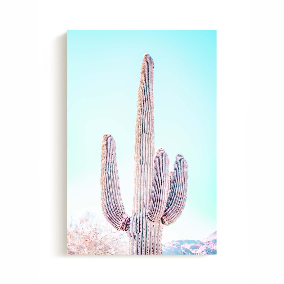 Cactus Cooler - Canvas Print by Richard Podgurski Jr. | Art Bloom Canvas Art