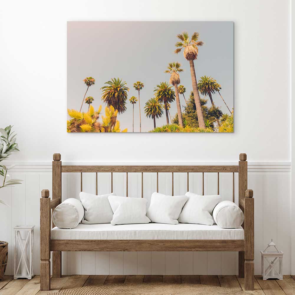 California Palm - Canvas Print by Dan Hobday | Art Bloom Canvas Art
