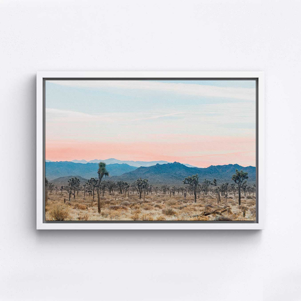 Desert Sunrise - Canvas Print by Nate Taylor | Art Bloom Canvas Art