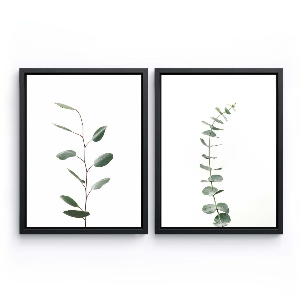 Eucalyptus Bundle