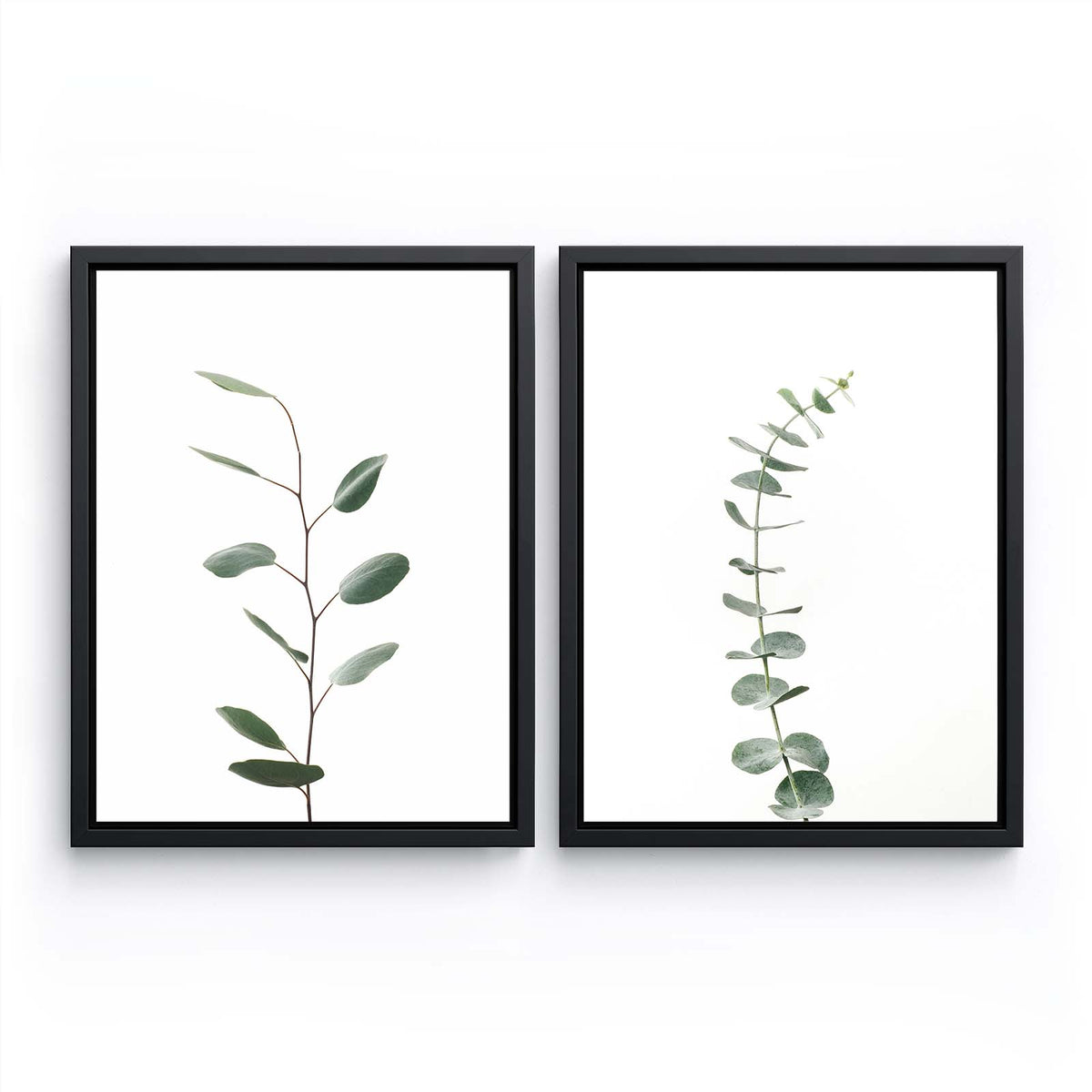 Eucalyptus Bundle - 2-Piece Bundle by Nate Taylor | Art Bloom Canvas Art