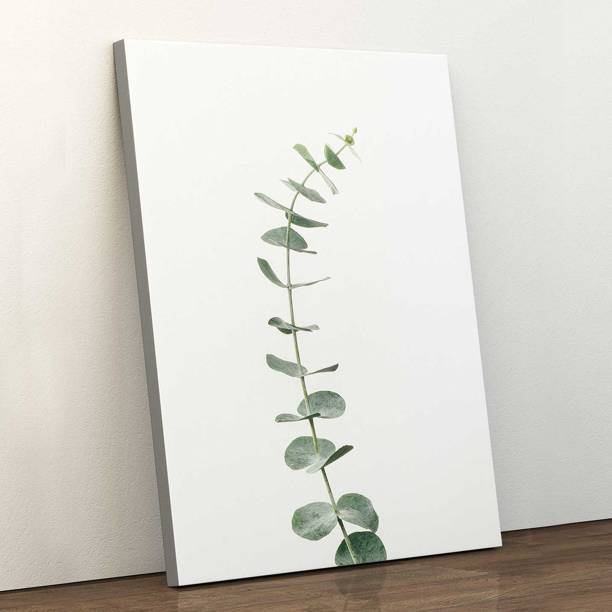 Eucalyptus #2 - Canvas Print by Dan Hobday | Art Bloom Canvas Art