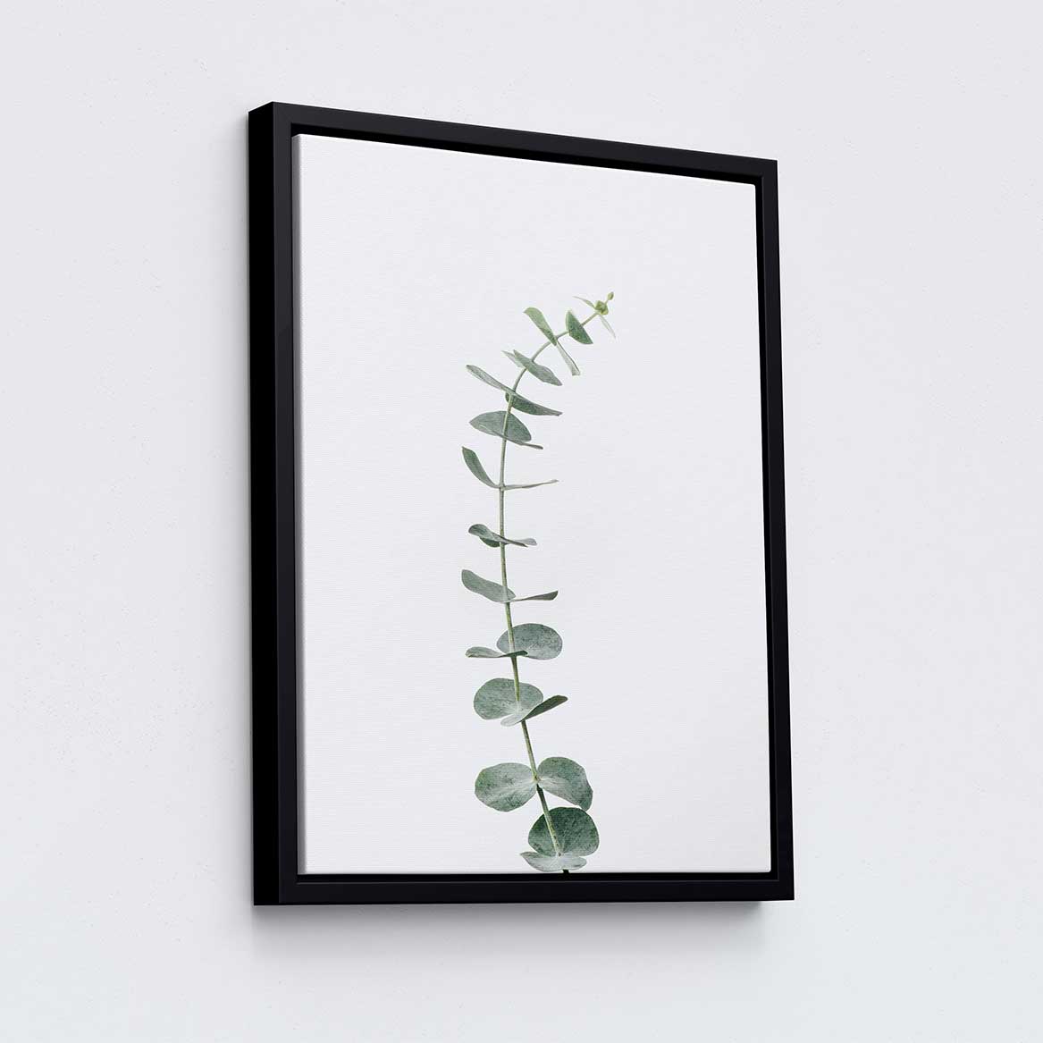 Eucalyptus Bundle - 2 Print Pack by Nate Taylor | Art Bloom Canvas Art