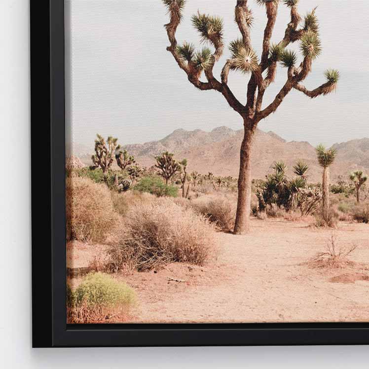 Joshua Tree - 3-Piece Canvas Print by Ysbrand Cosijn | Art Bloom Canvas Art