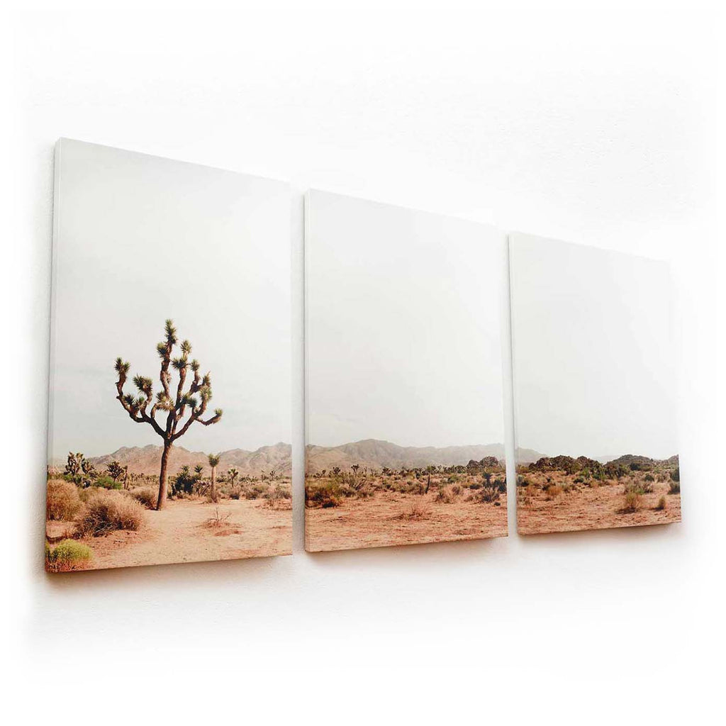 Joshua Tree