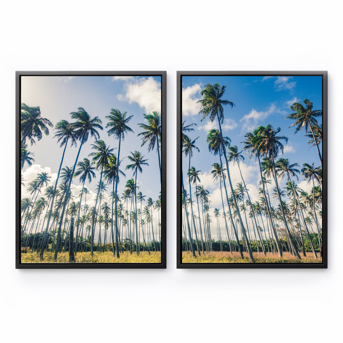 Kauai Palms - Canvas Print by Richard Podgurski Jr. | Art Bloom Canvas Art