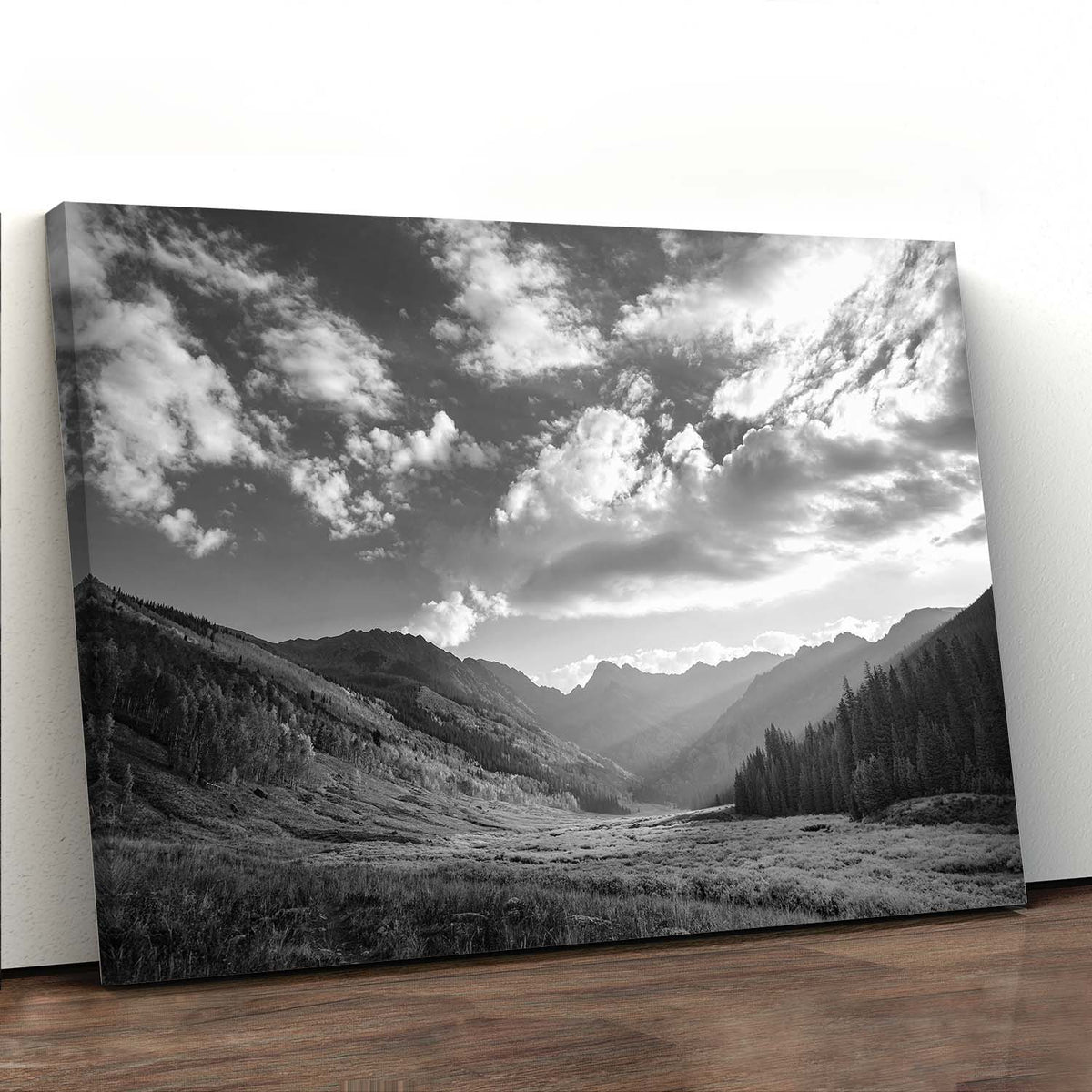 Morning Light at Piney - Canvas Print by Emily Kent | Art Bloom Canvas Art