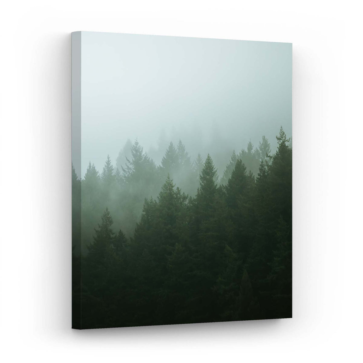 Mountain Mist - Canvas Print by Erik Young | Art Bloom Canvas Art