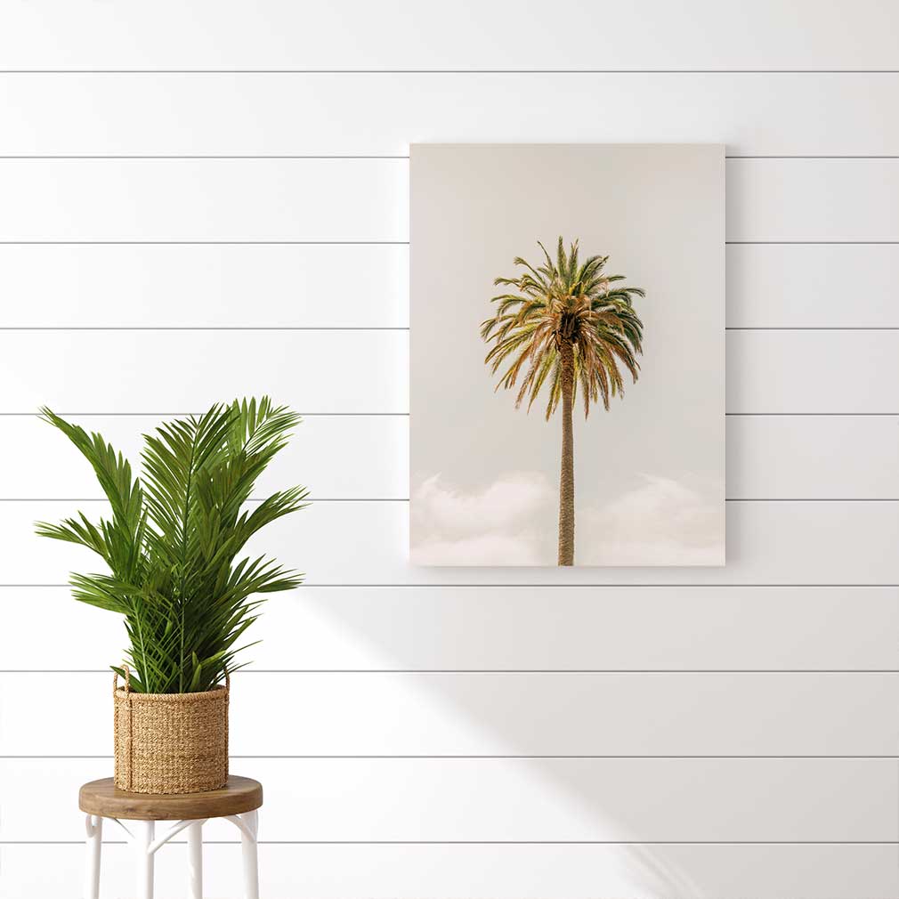 Royal Palm