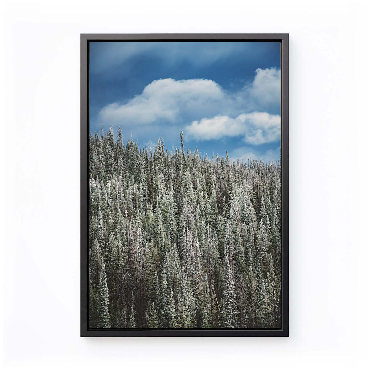 Summer Snowstorm - Canvas Print by Kyle Spradley | Art Bloom Canvas Art