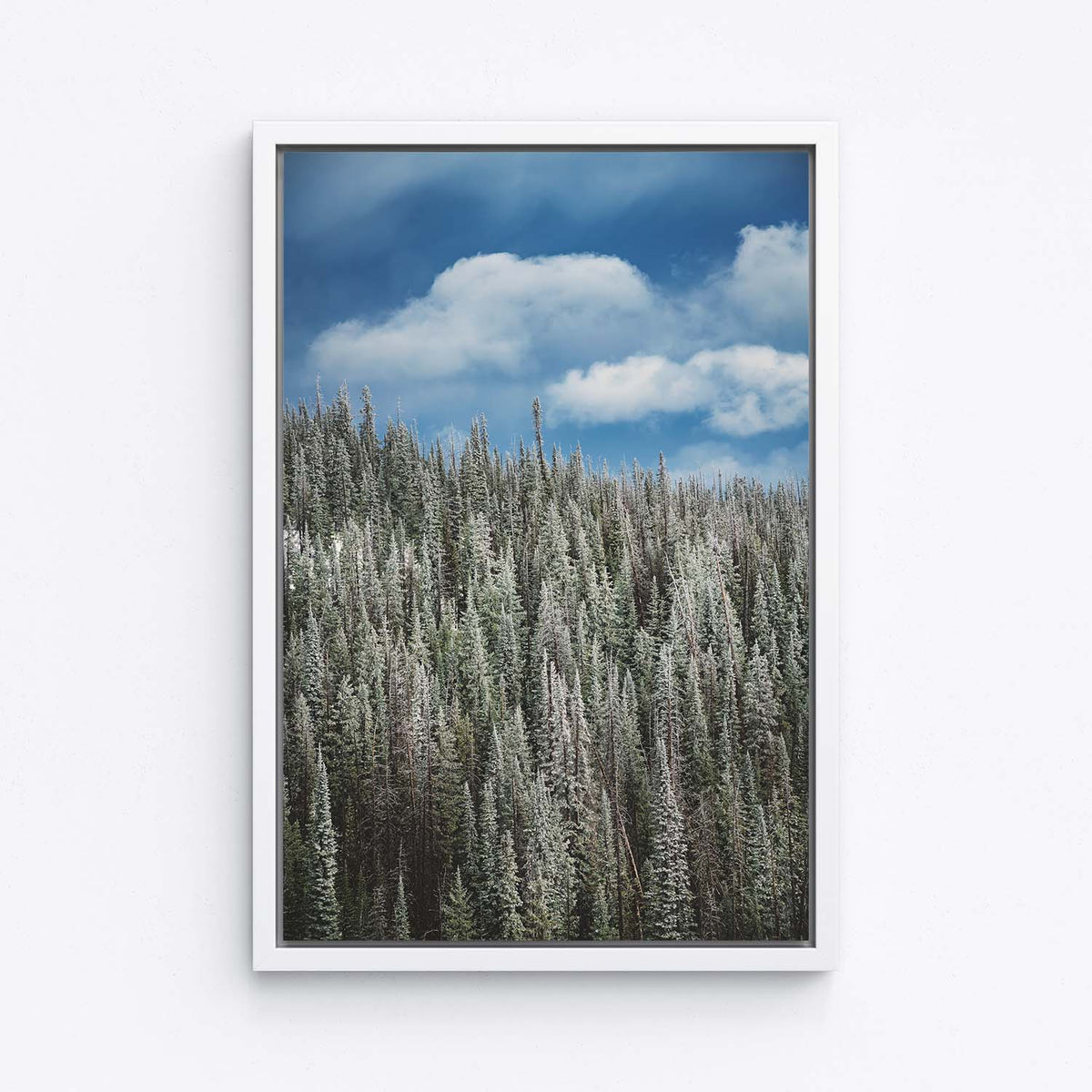 Summer Snowstorm - Canvas Print by Kyle Spradley | Art Bloom Canvas Art