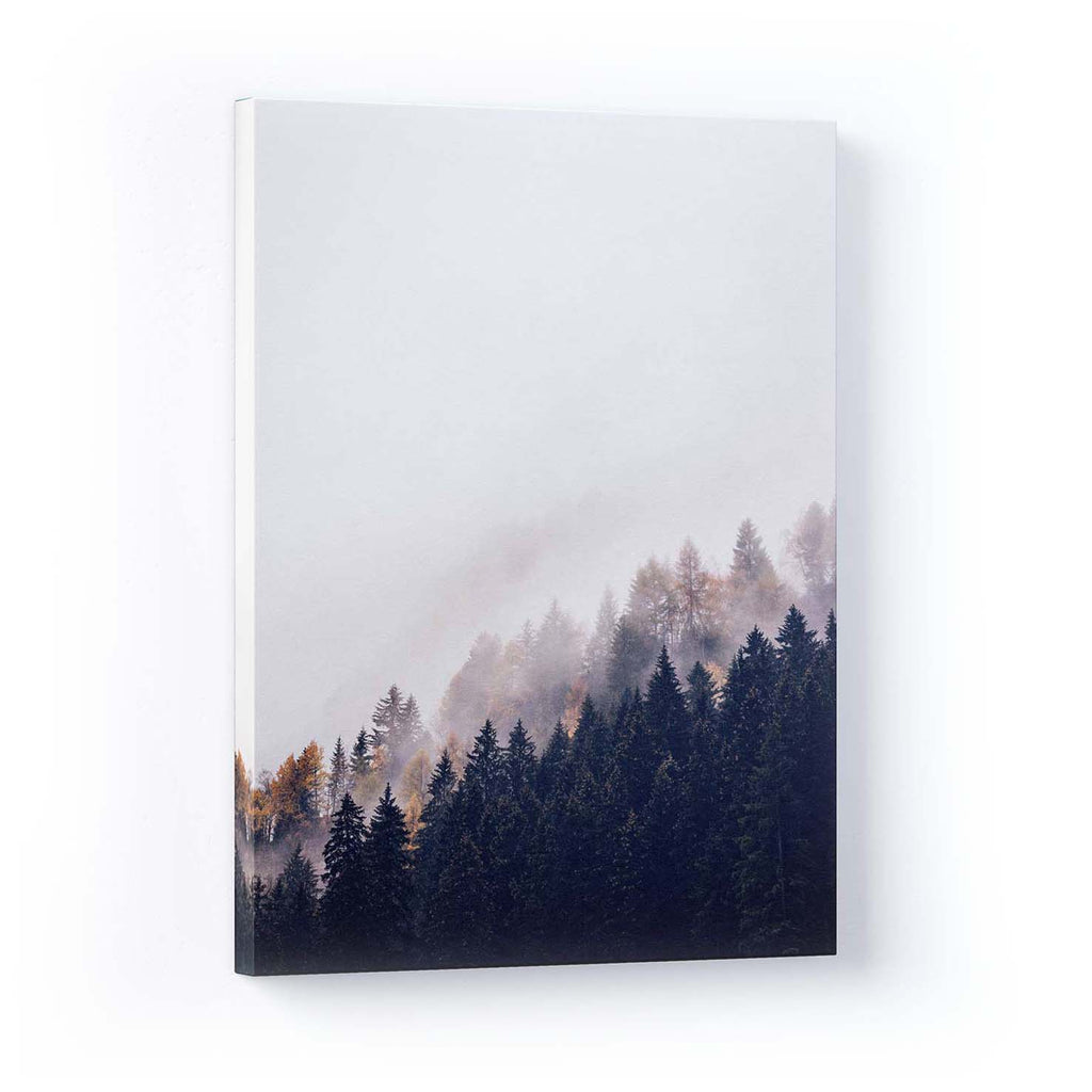 Trees Tilted