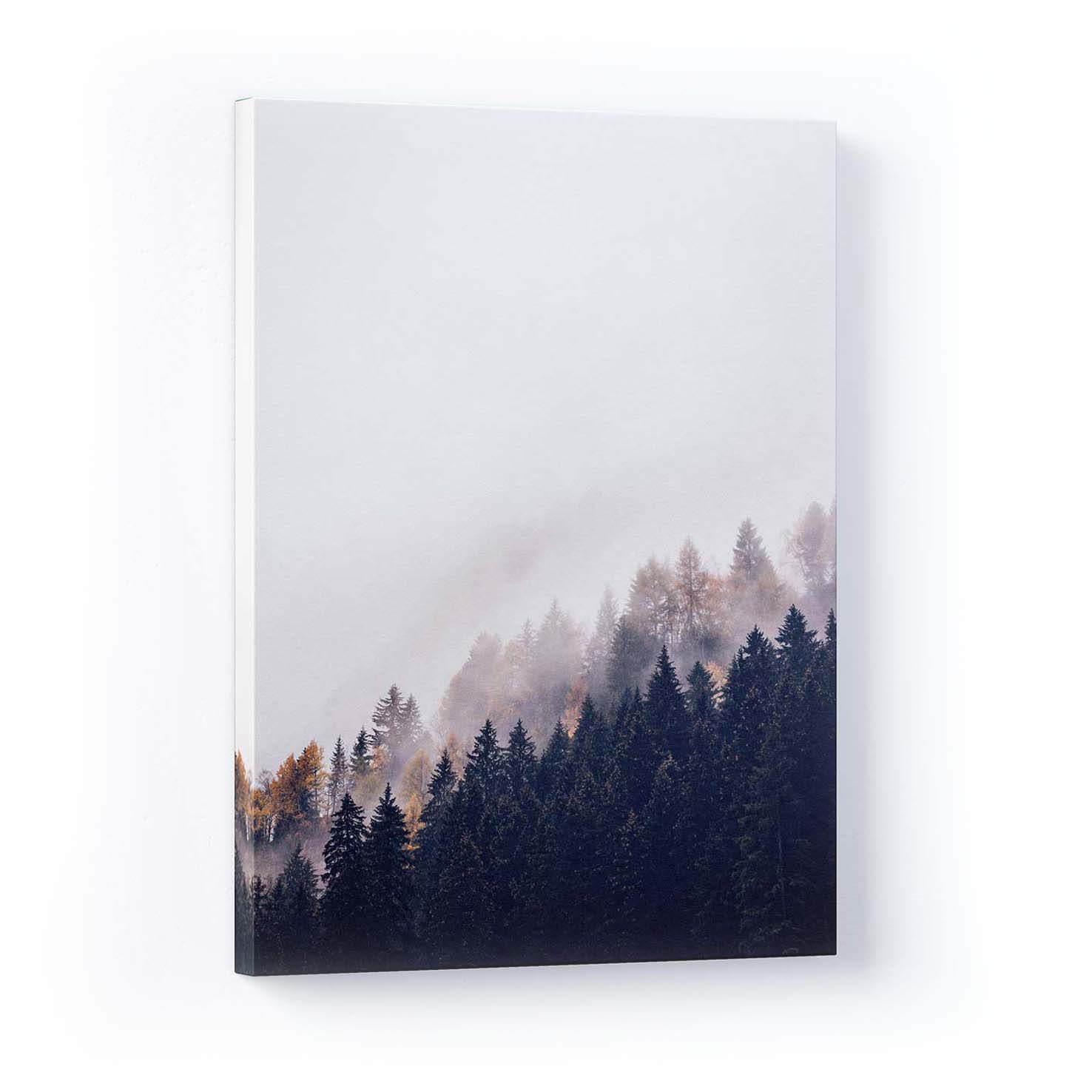 Trees Tilted - Canvas Print by Eberhard Grossgasteiger | Art Bloom Canvas Art